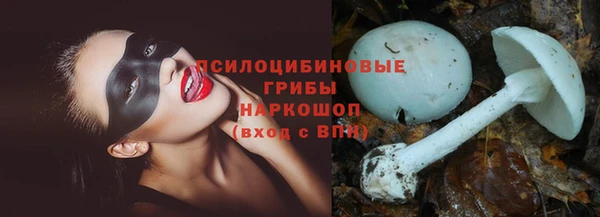 гашик Аркадак